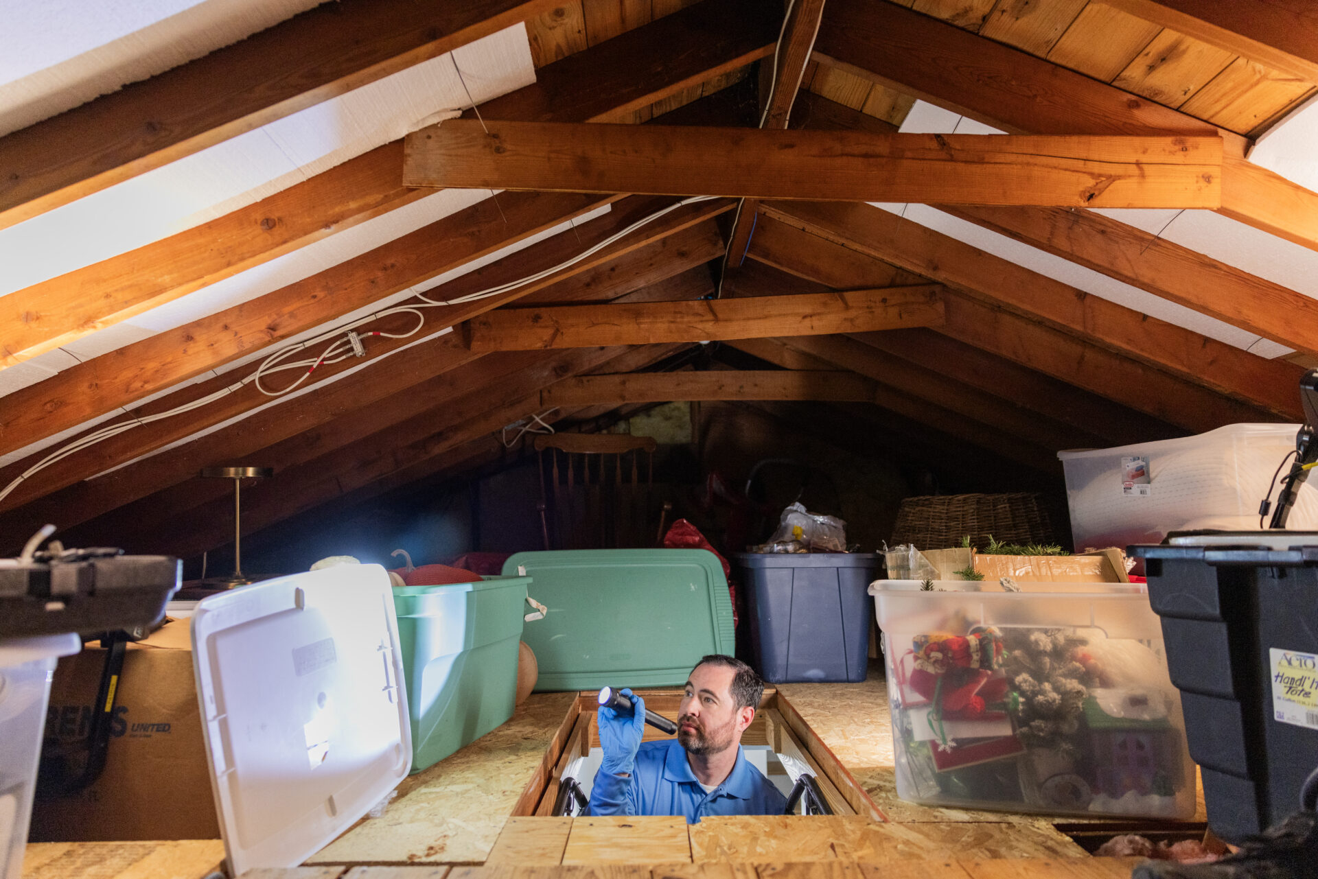 Looking in attic